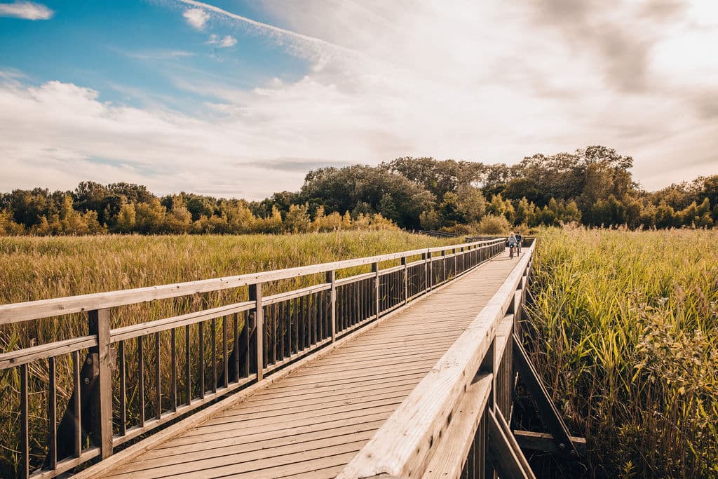 Umgebung FFG 11 - Grünflächen
