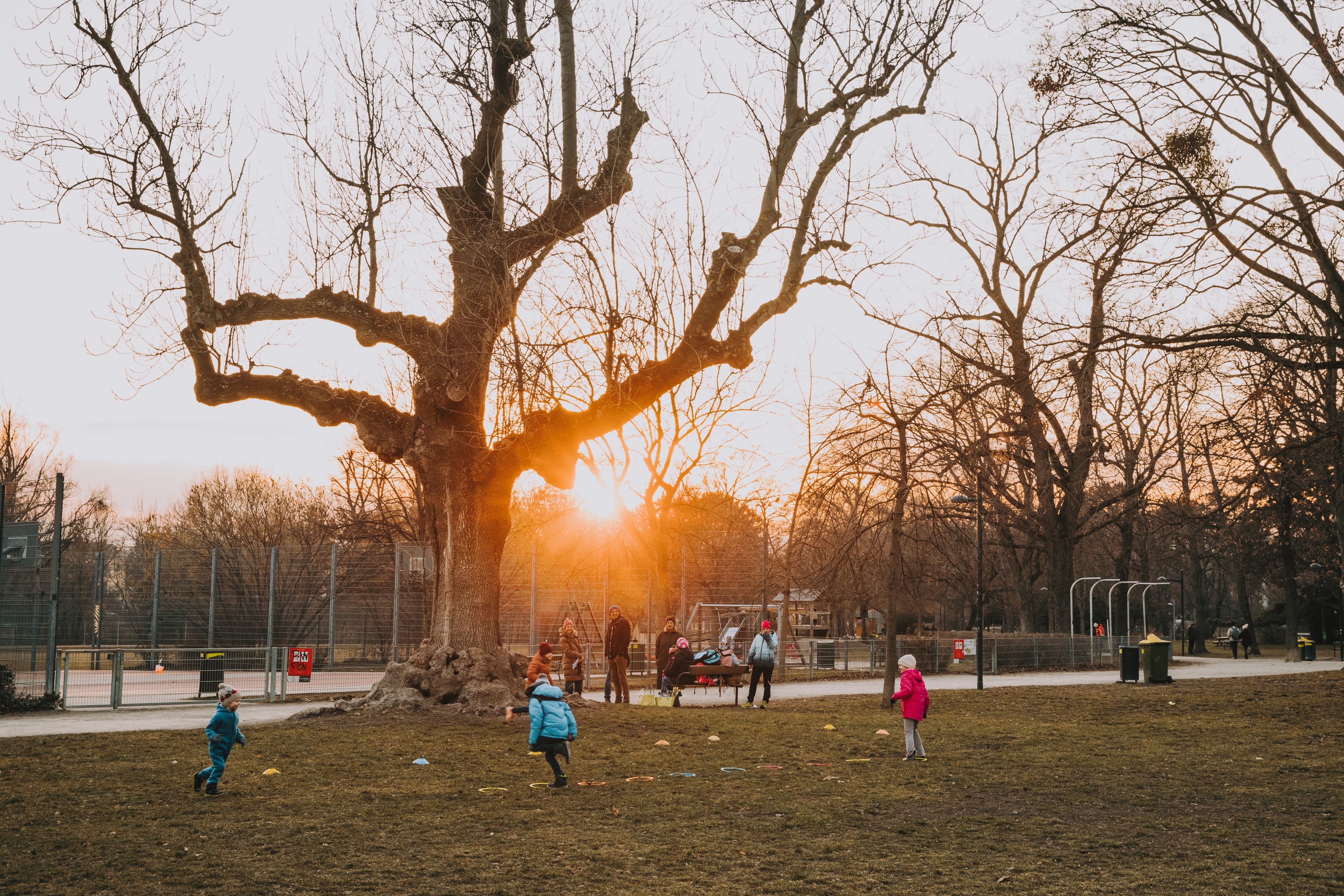 Holochergasse9, Umgebung, Park
